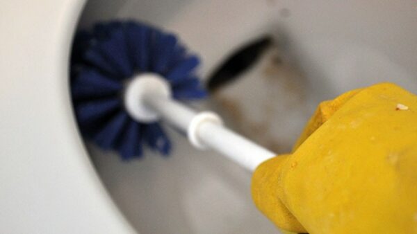Graban a limpiadoras de hoteles de 5 estrellas fregando tazas con escobillas para el inodoro