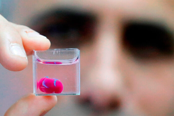 Investigadores hacen con tejido humano en impresora 3D un corazón que palpita