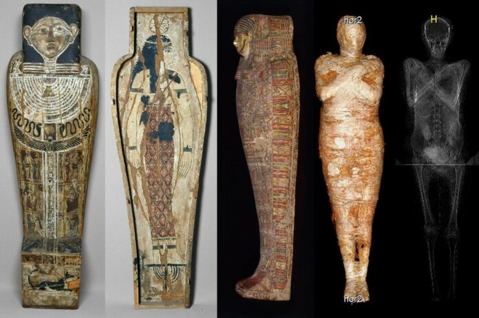 Arqueólogos encuentran la primera momia embarazada del Antiguo Egipto