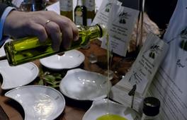aceite-de-oliva,-el-codiciado-tesoro-de-los-olivos