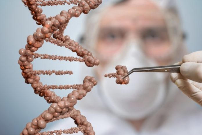 Un test genético podría estimar el riesgo de padecer cáncer de próstata