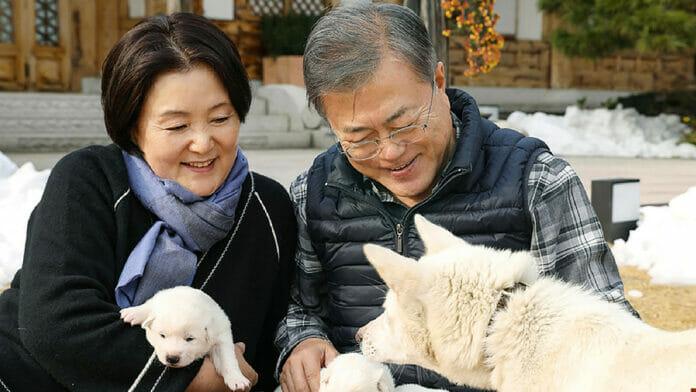 Expresidente de corea del sur planea renunciar a los perros que le regaló kim jong un