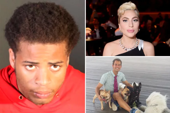 Sentencian a 21 años al hombre que robó perros de Lady Gaga