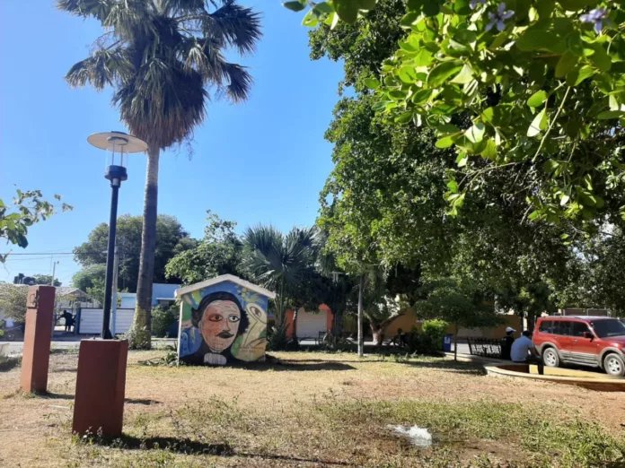 Instituto Duartiano denuncia profanan imagen de Duarte en Pedernales