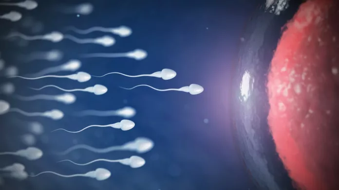 Píldora anticonceptiva masculina pasa con éxito las primeras pruebas