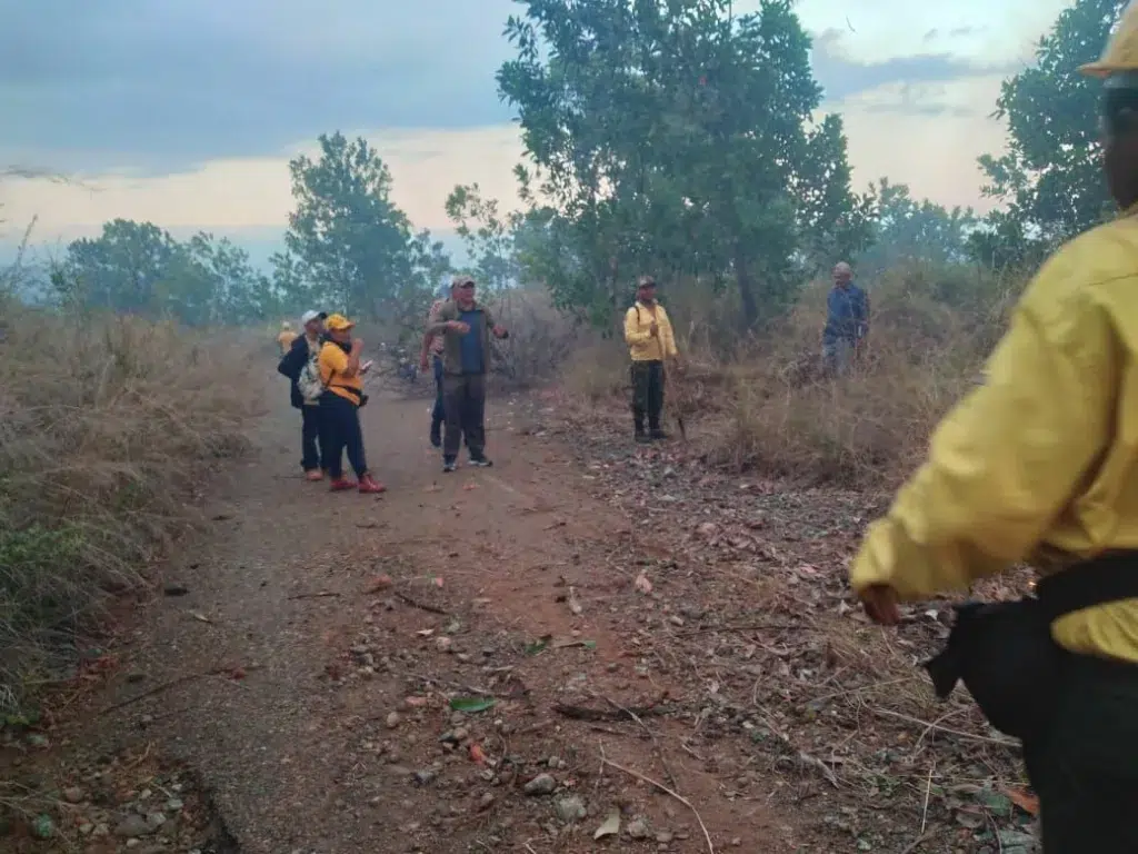 Más de 60 bomberos tratan de sofocar fuego en parque Valle Nuevo, en La Vega