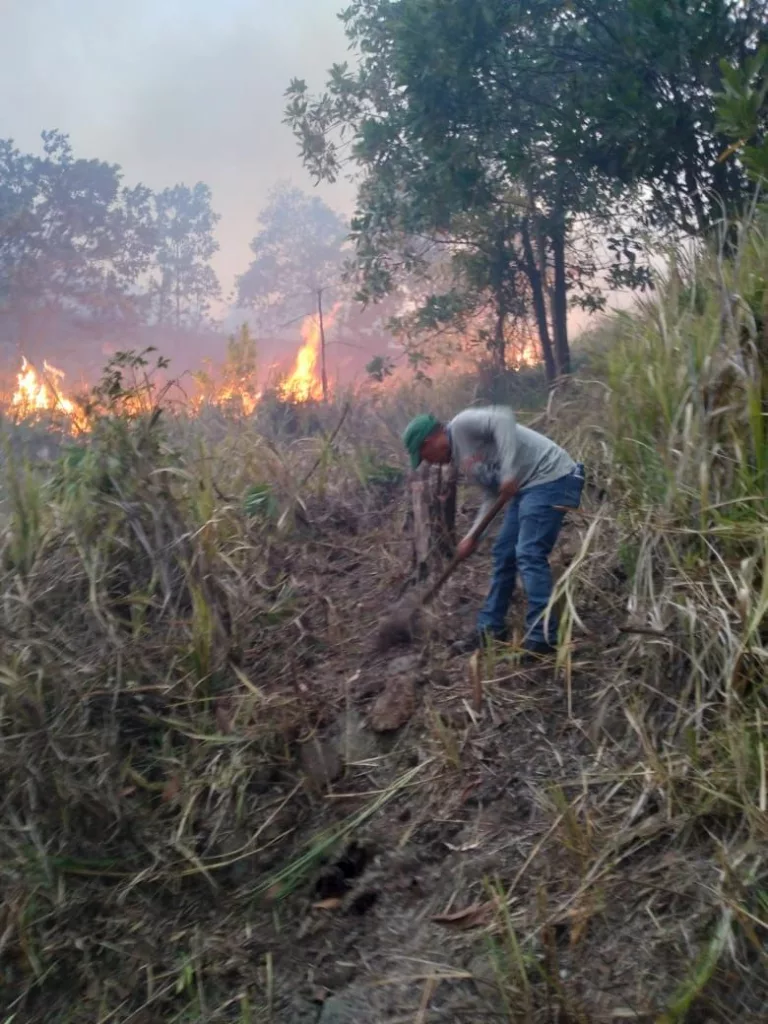 Más de 60 bomberos tratan de sofocar fuego en parque Valle Nuevo, en La Vega