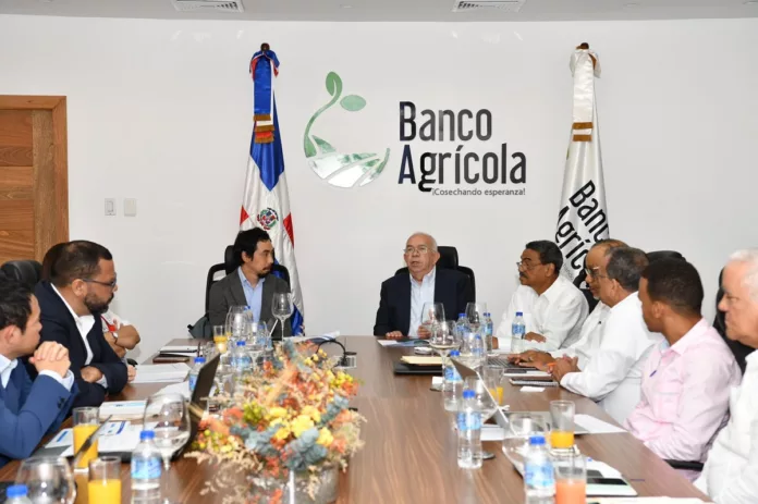 Funcionaros del Bagrícola y la JICA analizan proyecto de financiamiento de U$S 70 millones