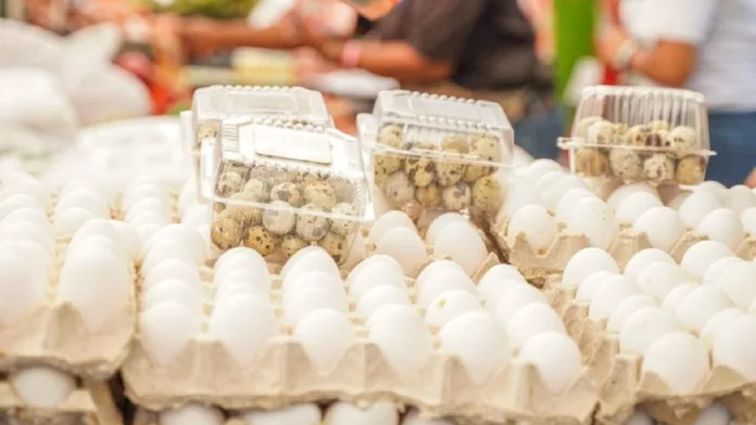 Gobierno vende cartones de huevos a 100 pesos en 76 supermercados del país   